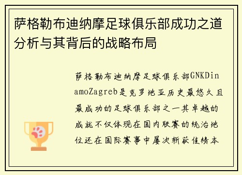 萨格勒布迪纳摩足球俱乐部成功之道分析与其背后的战略布局