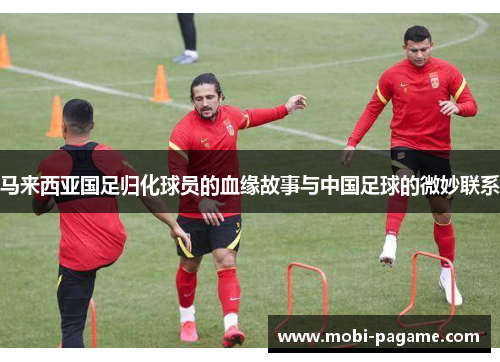 马来西亚国足归化球员的血缘故事与中国足球的微妙联系 马来西亚国足归化球员的血缘故事与中国足球的微妙联系
