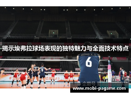 揭示埃弗拉球场表现的独特魅力与全面技术特点 揭示埃弗拉球场表现的独特魅力与全面技术特点