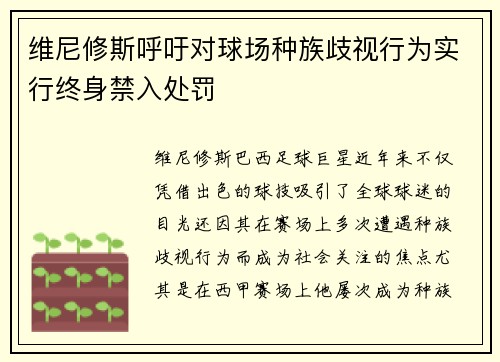 维尼修斯呼吁对球场种族歧视行为实行终身禁入处罚 维尼修斯呼吁对球场种族歧视行为实行终身禁入处罚