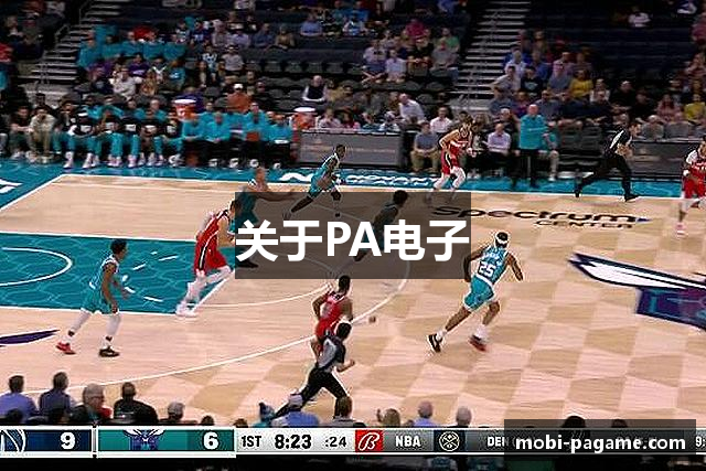 关于PA电子
